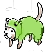 Ferret