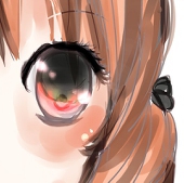 ZLY(･∀･)Y