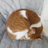 ジュン