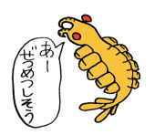 enkidudu