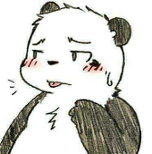 机智的浣熊君