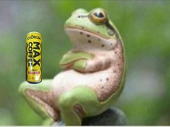 snijet