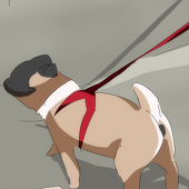 もっち