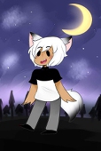 Numi Fox