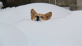 むたけん