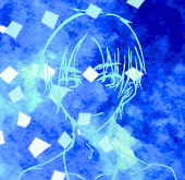 ハナブサ砌