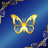 藤村香今