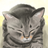 トラ猫ちゃっぴー