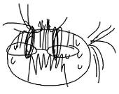 モリヲ