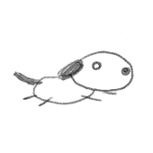 ゆき