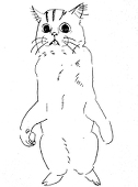 こじま