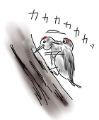 焔龍