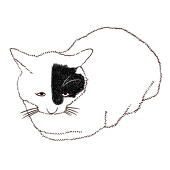 秋の猫