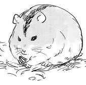 あめをねるねずみはねてる