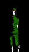 舞蝶