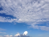 緋川