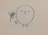 ひよこ