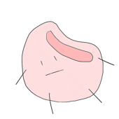ふわり