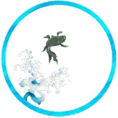 水心白夜