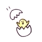 🐣