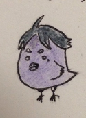 maruchi