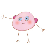 kidna