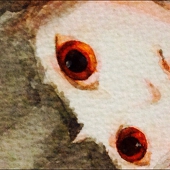 さらみ●○
