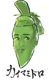 せうゆ