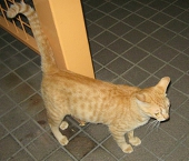 もなかなか