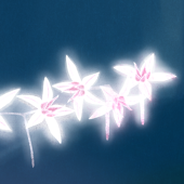 かなき
