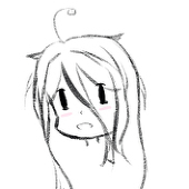 Eurya