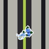 ＴＰ（タイバニ虎廃ときどき腐）