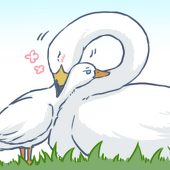 あやな