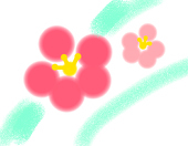ume*