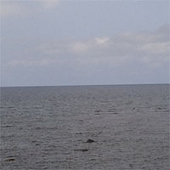 沖 広大