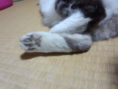 あき