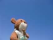 ぼちコ