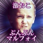 音色　菊