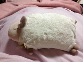 鍵入