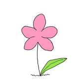 一花