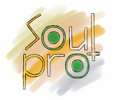 Soul pro+