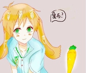 伽www