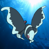 セイルフィッシュ