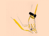 koira