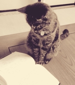 プロフ必読願います。