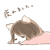 ちむ猫