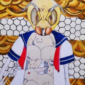 ひめた