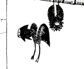 アレルゲん