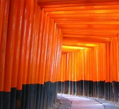 aoiro