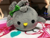ねこのうち
